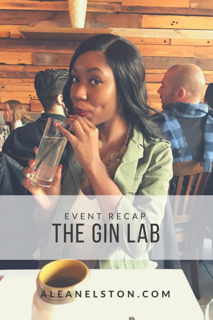 the gin lab pintetest